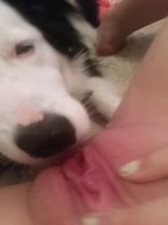 综合公开免费视频,尤物视频在线免费观看